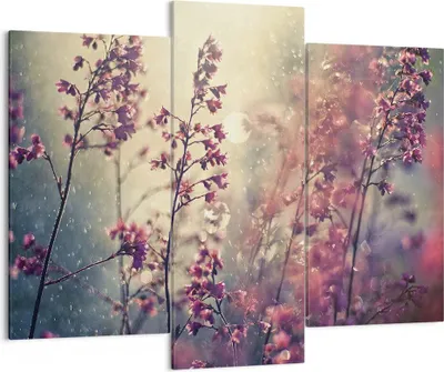 Produktbild von Bild auf Leinwand - Leinwandbild - 3 Teile - Blumen Regen Licht - 130x100cm - Wand Bild - Wanddeko - Wandbilder - Leinwanddruck - Bilder - Wanddekoration - Leinwand bilder - Wandbild - CB130x100-4218