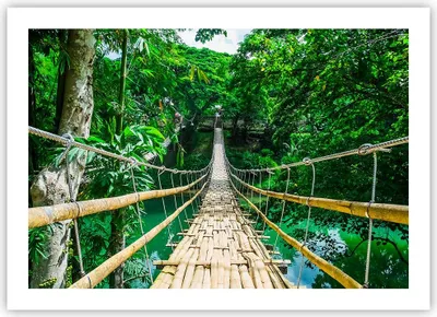 Produktbild von Poster - Poster ohne Rahmen - Gehweg Baum Holz Steg - 70x50 cm - Wand Bild - Wanddeko - Wandbilder - Kunstposter - Wandposter - Bilder - Kunstdruck - Wanddekoration - Wandbild - P2XAA70x50-3185