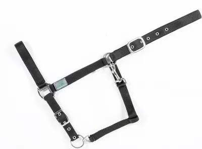 Produktbild von USG Halfter einfarbig, unterlegt, schwarz, Pony
