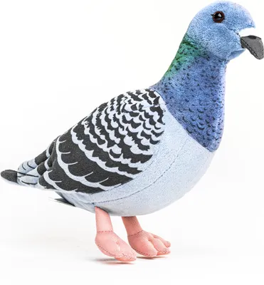 Produktbild von Uni-Toys - Taube - 20 cm (Höhe) - Plüsch-Vogel - Plüschtier, Kuscheltier