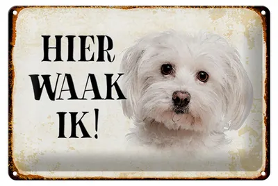 Produktbild von Blechschild Spruch 30x20cm holländisch Hier Waak ik Maltezer