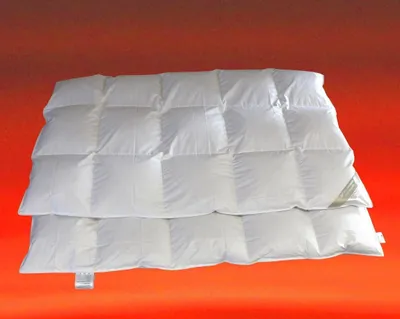Produktbild von Betten Hofmann Franken Daunenbett Daunendecke 135x200 cm 5x7 100% Gänsedaunen