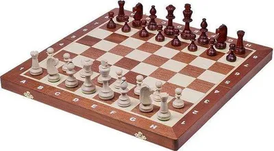 Image de Échiquier de table pour tournois, taille 5