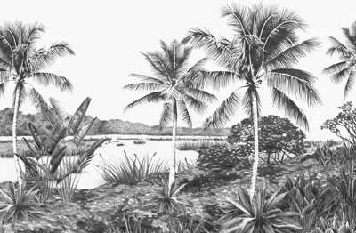 Produktbild von Origin Wallcoverings Fototapete Landschaft mit Palmen Schwarz-Weiß 418.5 x 279 cm