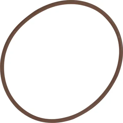 Produktbild von O Ring Wasserpumpe Groß 3,53x94,84 17291281