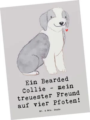 Produktbild von Mr. & Mrs. Panda Postkarte Bearded Collie Freund - Grau Pastell - Geschenk, Hunderassen Beschreibung, unerschütterliches Vertrauen, Ansichtskarte, Ansichtskarten