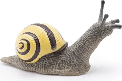 Image de Papo Allemagne Escargot de forêt 0