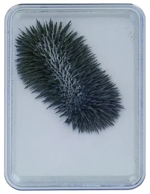 Produktbild von EDUPLAY 120-107 Eisenpulver-Box für Magnetfeld-Experimente, 9 x 6,5 x 1 cm (ohne Magnet), grau