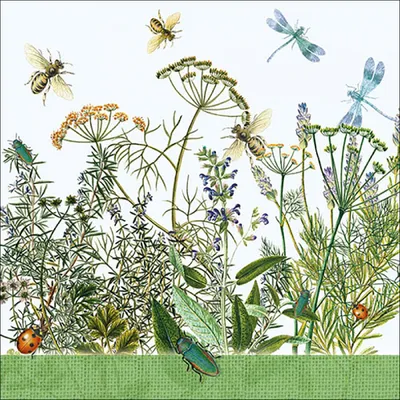 Produktbild von Servietten Papier 33x33cm 3-lagig mit Wildkräuter Motiv 20 Stück