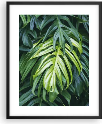 Produktbild von Gerahmtes Poster - Schwarzer Rahmen - Blume Natur - 40x50 cm - Wand Bild - Wanddeko - Wandbilder - Kunstposter - Wandposter - Bilderrahmen - Bilder - Kunstdruck - Wandbild - P2BPA40x50-3951