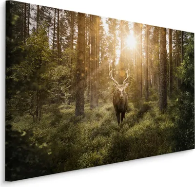 Immagine prodotto di Favolosa tela SCREEN PICTURE 70x50 cm XXL stampa d'arte cervi foresta alberi sole