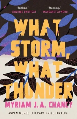 Produktbild von What Storm, What Thunder