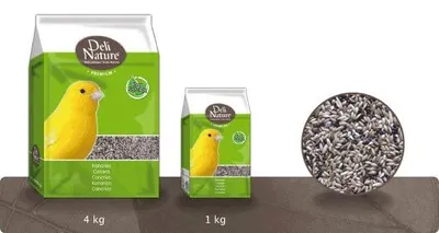 Productafbeelding van Deli Nature Premium Kanariezaad 1KG
