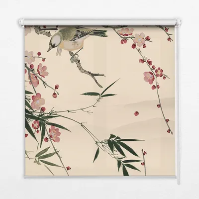 Produktbild von Seitenzug-Rollo Fensterrollo Jalousie - Lichtdurchlässig Springrollos - 50x50 cm - Kirschblüte und Vogel