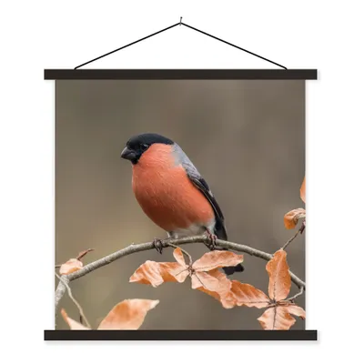 Produktbild von MuchoWow® Textilposter Vogel - Laub - Herbst - Gimpel - 120x120 cm mit schwarzem Rahmen - Aufhängungsset