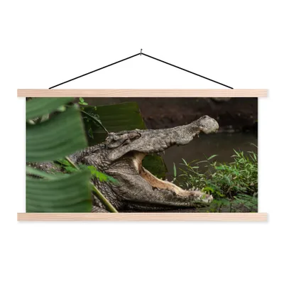 Produktbild von MuchoWow® Textilposter Krokodil mit offenem Maul 120x60 cm mit holzfarbenen Rahmen - Klemmleiste