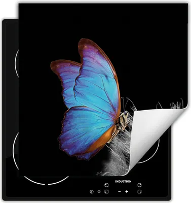 Produktbild von DarHaus Herdabdeckplatte 60x52 cm Anti Rutsch Matte Aufrollbar, schwarz - Schmetterling