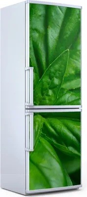 Produktbild von Magnete Dekorative - 60 cm x 180 cm - Küche Magnetmatte Kühlschrankmagnete - Basilikum Blätter