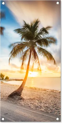 Produktbild von MuchoWow® 40x80 cm Outdoor-Poster Gartendeko Sichtschutz Garten Poster für den Garten  Sonnenuntergang - Strand - Palme