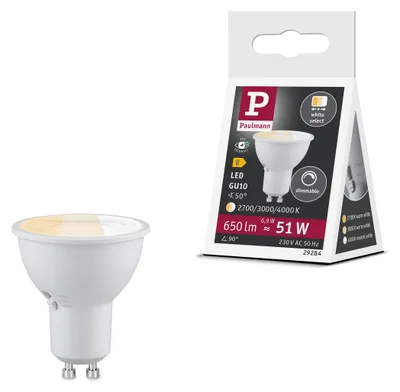 Obrázek produktu pro Paulmann Standardní 230V LED reflektor