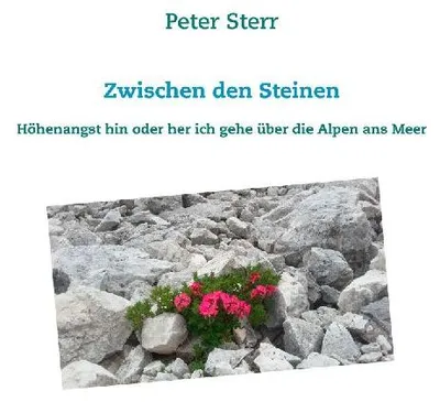 Produktbild von Zwischen den Steinen