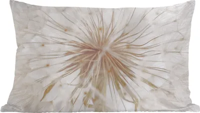 Produktbild von MuchoWow® Zierkissen Sofakissen Wohnzimmer Dekokissen 50x30 cm Blumen - Löwenzahn - Entwurf - Wohnzimmerdekoration - Polster mit Photo