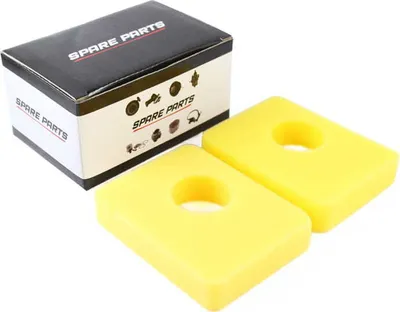 Obrázok produktu pre Vzduchový filter pre B&S Series 550e - 550ex (799579) (BALENIE 2 KUSOV)
