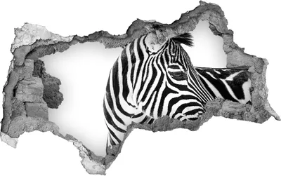 Produktbild von Selbstklebender Loch-3D-Aufkleber 95x73 cm Zebra im Schnee