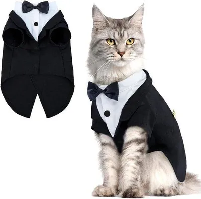 Produktbild von Katzen Smokingsanzug, Halloween Kostüm, Sphynx Anzug, Onesie für Hochzeit