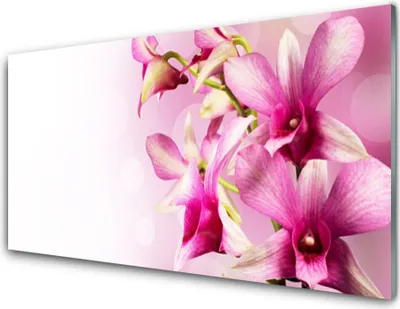 Produktbild von Acrylglasbilder 100x50 Wandbild Druck Blumen Pflanzen