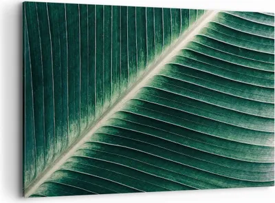 Produktbild von Bild auf Leinwand - Leinwandbild - Einteilig - Grün Blatt Tropisch - 120x80cm - Wand Bild - Wanddeko - Wandbilder - Leinwanddruck - Bilder - Wanddekoration - Leinwand bilder - Wandbild - AA120x80-4126