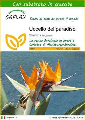 Immagine prodotto di SAFLAX  - Uccello del paradiso - 5 semi - Con substrato - Strelitzia