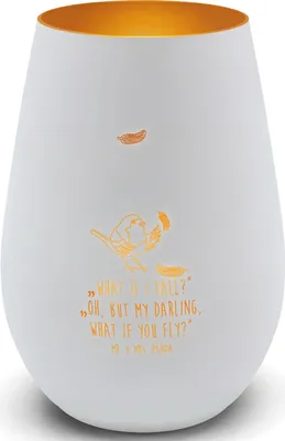Produktbild von Mr. & Mrs. Panda Laterne Rotkehlchen Federn - Weiß - Geschenk, Kerzenhalter, fliegen, Glas Windlicht, Spruch Mut, Teelichthalter, Lustige Sprüche, Motivation, Vogel
