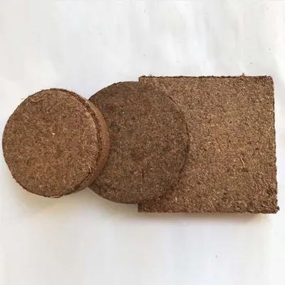 Produktbild von Allecto Plus - 50 Stück Anzuchtschale für Setzlinge und Gartenpflanzen - Anzuchtzubehör für Pflanzenvermehrung mit Nährstoffblock und Torftabletten