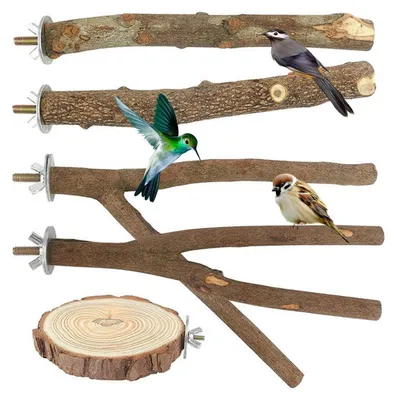 Immagine prodotto di Set di 5 posatoi in legno naturale, lunghezza 20 cm, adatti per parrocchetti ondulati, parrocchetti neri e canarini