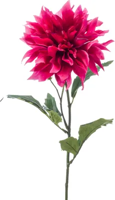 Produktbild von künstliche Dahlie mit XXL Blüte fuchsia rot pink H. 60cm Emerald Kunstblumen