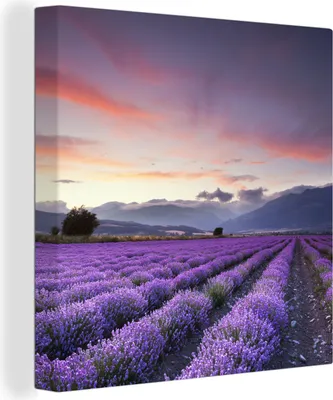 Produktbild von MuchoWow® - Leinwandbilder - Sonnenuntergang über Lavendel, Wandbild, Wanddeko Bilder Wohnzimmer, 20x20 cm