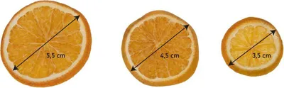 Produktbild von Orangenscheiben, getrocknet, im Beutel mit 500g