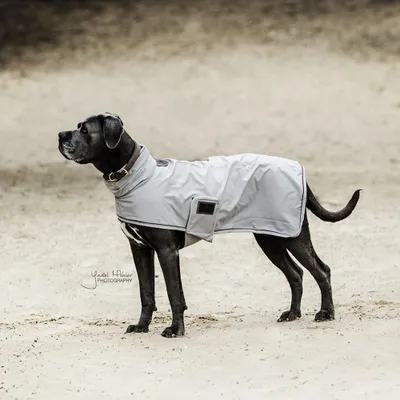 Obrázek produktu pro Kentucky Dogwear Hunde Regenmantel Hunderegenjacke Dusty Blue M