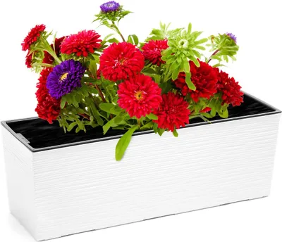 Productafbeelding van Kwietnik, bloempot, bak met binnenpot, 56 x 19 cm, geschikt voor balkon, tuin of terras, kleur: wit