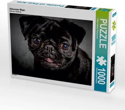 Produktbild von Calvendo Schwarzer Mops 1000 Teile Puzzle quer 640x480mm, Pinkoss Photostorys Oliver; 7293155