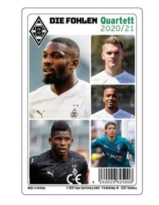 Produktbild von Teepe Sportverlag 25008 - Borussia Mönchengladbach Quartett 2020/21