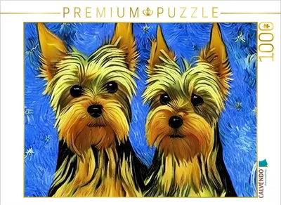 Produktbild von CALVENDO Puzzle Yorkshire Terrier | 1000 Teile Lege-Größe 64x48cm Foto-Puzzle für glückliche Stunden