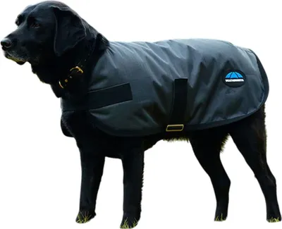 Image de Weatherbeeta - Manteau pour chien « Comfitec », classique, imperméable WB2439 (60 cm) (charbon)