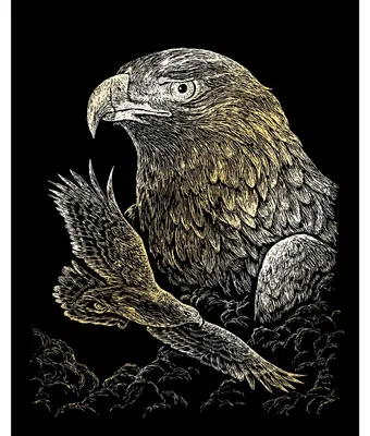 Obrázek produktu pro PRACHT Scratch picture Eagle gold 20x25cm