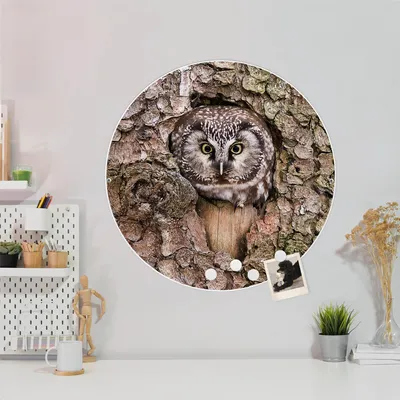 Produktbild von Design Stahlmagnettafel Weiß Rund 47cm Eule