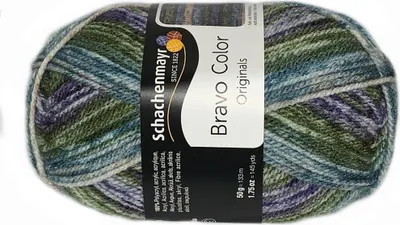Zdjęcie produktu dla Włóczka Schachenmayr Bravo Color (02122)