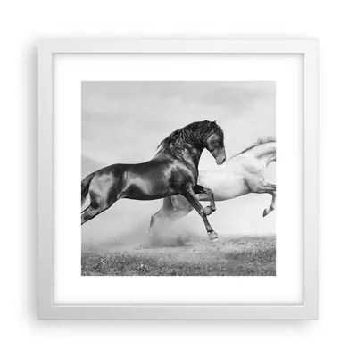 Produktbild von Gerahmtes Poster - Weißer Rahmen - Pferde Tiere Galopp Wiese - 30x30 cm - Wand Bild - Wanddeko - Wandbilder - Kunstposter - Wandposter - Bilderrahmen - Bilder - Kunstdruck - Wandbild - P2WAC30x30-2683
