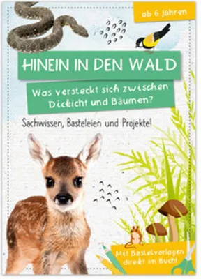 Produktbild von Activity Heft: Hinein in den Wald - Was versteckt sich zwischen Dickicht und Bäumen?