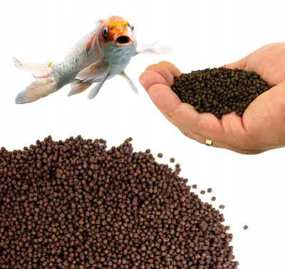 Produktbild von Fischfutter für Koi und Zierfische, schwimmendes Granulat 3 mm, 1 kg, für Teich und Gartenteich, vollwertiges Futter